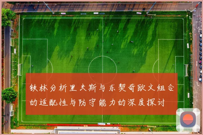 铁林分析里夫斯与东契奇欧文组合的适配性与防守能力的深度探讨